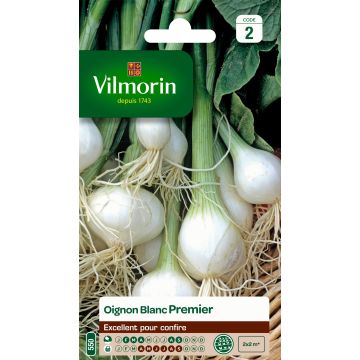 White Onion Premier - Vilmorin Seeds