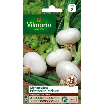 White Onion Printanier Parisien - Vilmorin Seeds
