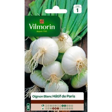 White Onion Blanc de Paris - Vilmorin Seeds