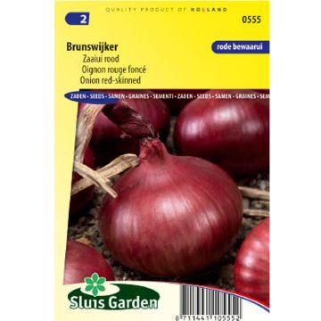 Rouge foncé de Brunswick Red Onion - Allium cepa