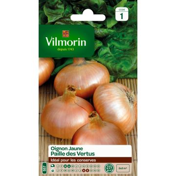 Onion Jaune Paille des Vertus - Vilmorin Seeds