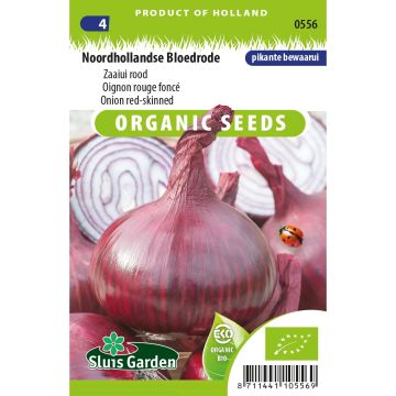 Organic Noordhollandse Bloedrode Red Onion - Allium cepa