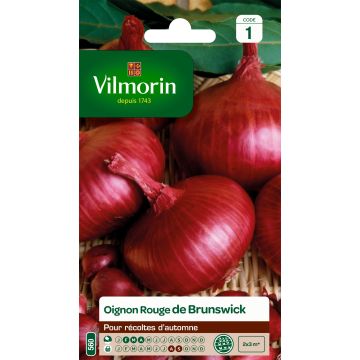 Onion Red Brunswick - Vilmorin Seeds