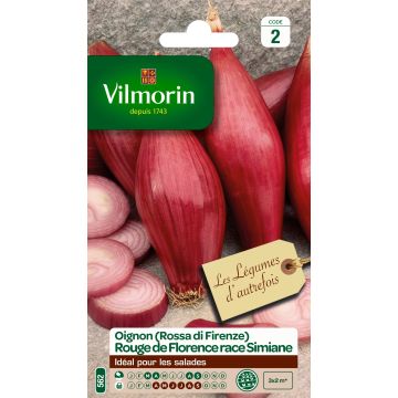 Onion Long Red Florence Simiane - Vilmorin Seeds