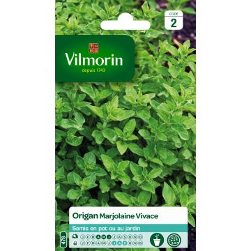 Oregano - Perennial Marjoram - Vilmorin seeds