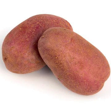Potatoes Cheyenne