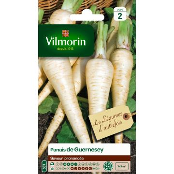 Parsnip Half Long Guernsey - Vilmorin Seeds