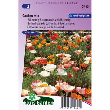 California Poppy 'Garden Mix' - Eschscholzia californica 