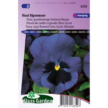 Viola Alpensee - Swiss Garden Pansy Seeds