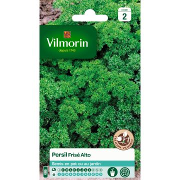 Curly Parsley Alto - Vilmorin Seeds