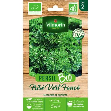 Persil frisé Vert Foncé Bio- Vilmorin