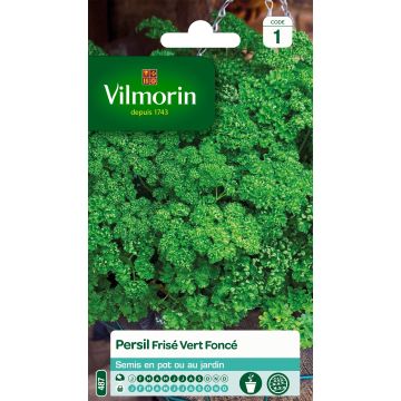 Curly Parsley - Vilmorin Seeds