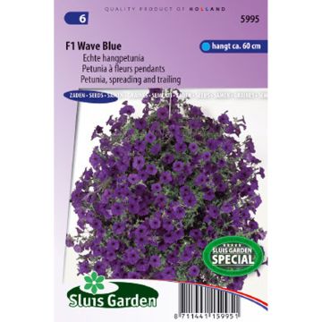 Petunia F1 Wave Blue