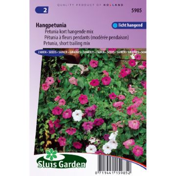 Trailing Petunia Balcony Mix Seeds - Petunia x hybrida pendula