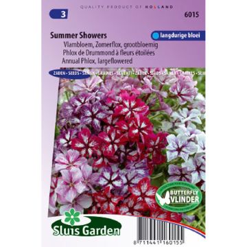 Phlox drummondii Summer Showers Mix Seeds - Drummonds phlox