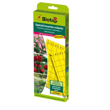 Yellow Chromatic Trap (sticky) 25 x 10 cm - pack of 10