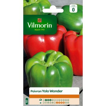 Sweet Pepper Yolo Wonder - Vilmorin Seeds