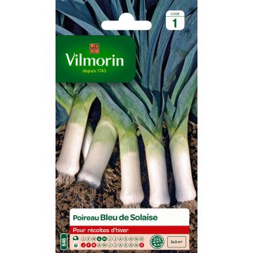 Leek Blue Solaise - Vilmorin Seeds