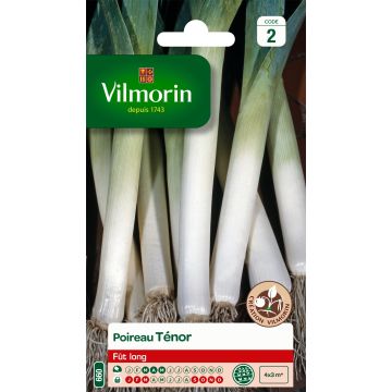 Leek Ténor - Vilmorin Seeds