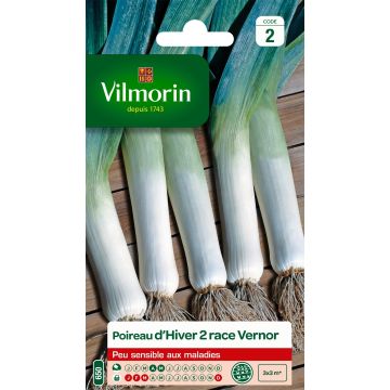 Leek Vernor - Vilmorin Seeds
