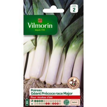 Leek Early Giant Major - Vilmorin Seeds