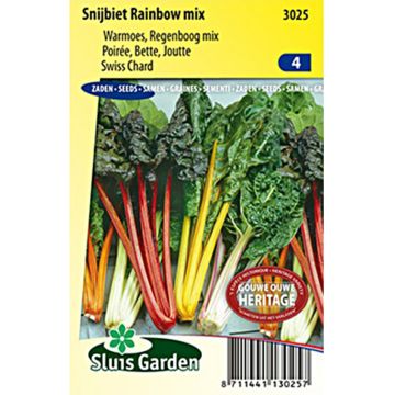 Swiss Chard Rainbow Mix