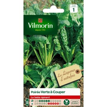 Perpetual Spinach Chard - Vilmorin Seeds