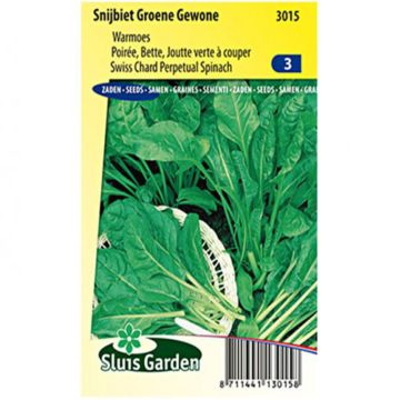 Perpetual Spinach Chard Groene Gewone 2