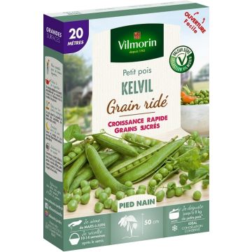 Dwarf Pea Kelvil - Vilmorin Seeds