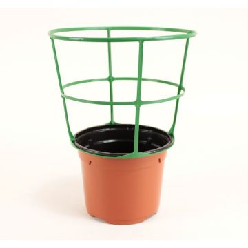 Round, terracotta-coloured, Ø12 cm (5in) Soparco pot with Sopafix support - sold in packs of 5