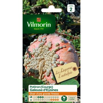 Winter squash Galeuse dEysines - Vilmorin Seeds