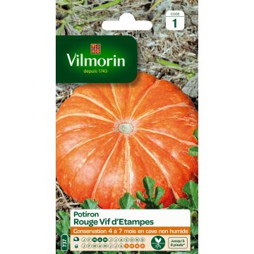 Pumpkin Rouge Vif dEtampes - Vilmorin Seeds