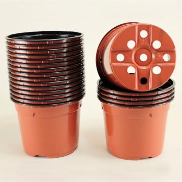 Round terracotta pots