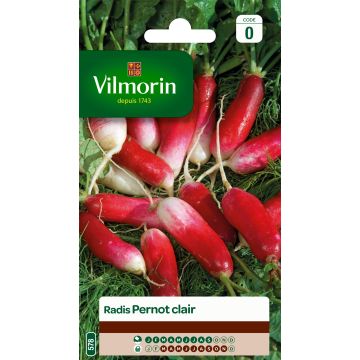 Radish Pernot Clair - Vilmorin Seeds