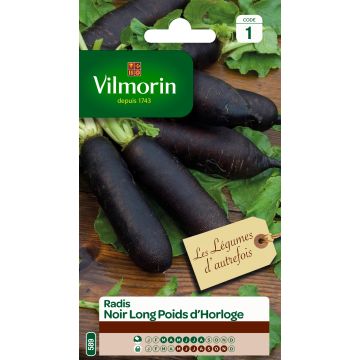 Radish Noir Long Poids d'Horloge - Vilmorin Seeds