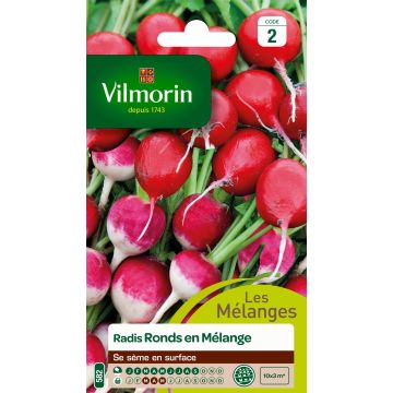 Round Radish Mix - Vilmorin Seeds
