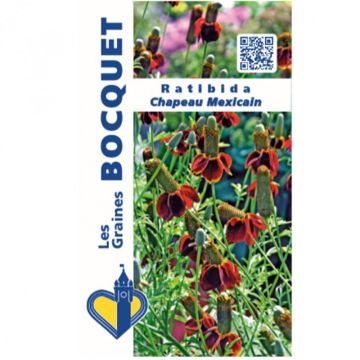 Ratibida columnifera - Mexican Hat