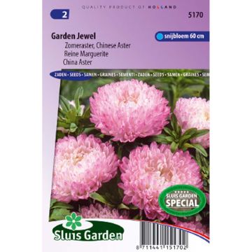 China aster Garden Jewel Rose Seeds