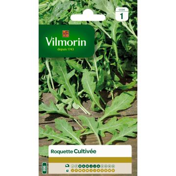 Rocket - Vilmorin Seeds