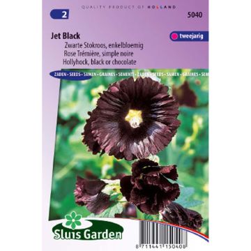 Alcea rosea Jet Black Seeds - Hollyhock