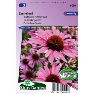 Echinacea purpurea Seeds - Purple Coneflower