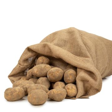 Special potato sack made of corded jute, 305 g/m2, capacity 50 kg, 60 x 105 cm (41in), by La Cordeline.