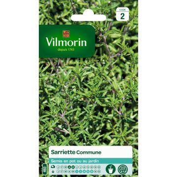 Common Savory - Vilmorin seeds