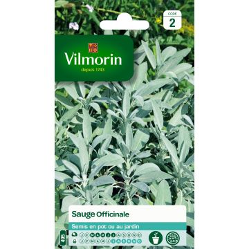 Salvia officinalis, Common Sage - Vilmorin seeds