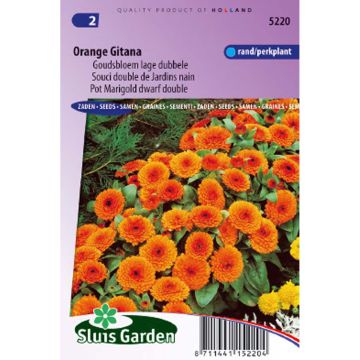 Calendula officinalis Orange Gitana Seeds - Dwarf Pot Marigold