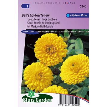 Calendula officinalis Ball’s Golden Yellow Seeds - Pot Marigold