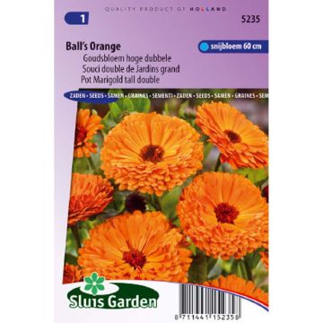 Calendula officinalis Ball’s Orange Seeds - Pot Marigold