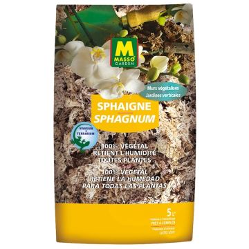 Masso Garden Sphagnum Moss in 5-litre bag