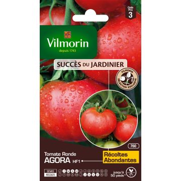 Tomato Agora F1  - Vilmorin seeds