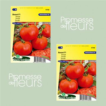 Bonset F1 Tomato Seeds